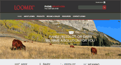 Desktop Screenshot of loomix.com